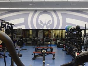 4963B90B-F4DD-4785-826D-891E844EF751_1_201_a