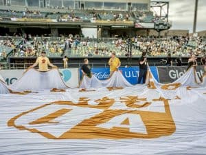 D3BDCDAE-E3E3-474C-AD54-FB1A5DF9890A_1_201_a