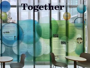 D133D10E-63D0-416B-9977-EABC0EEE3018_1_105_c